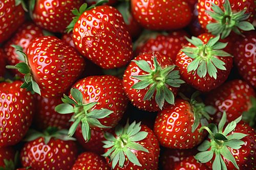 Schaal vol aardbeien