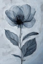 Simple Harmony | Blue by Kanzo