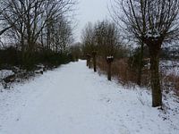 Het Sneeuwpad