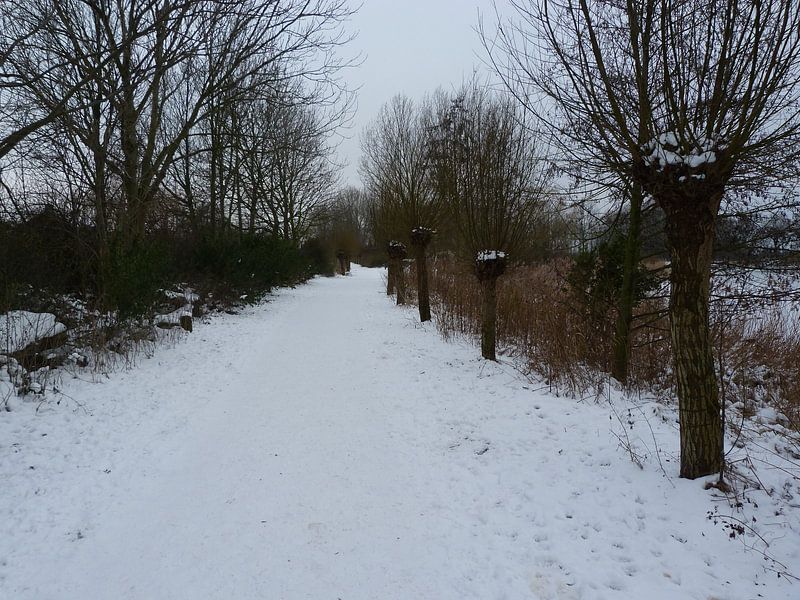 Het Sneeuwpad par Ronald Wakker