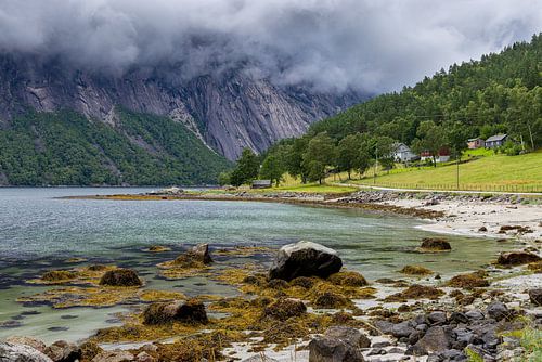 Landschap aan de Hardangerfjord, Noorwegen