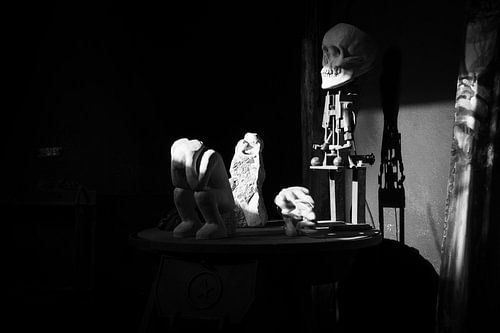 Kunst landbouwbelang