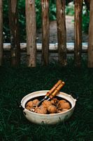 Walnut photography in nature