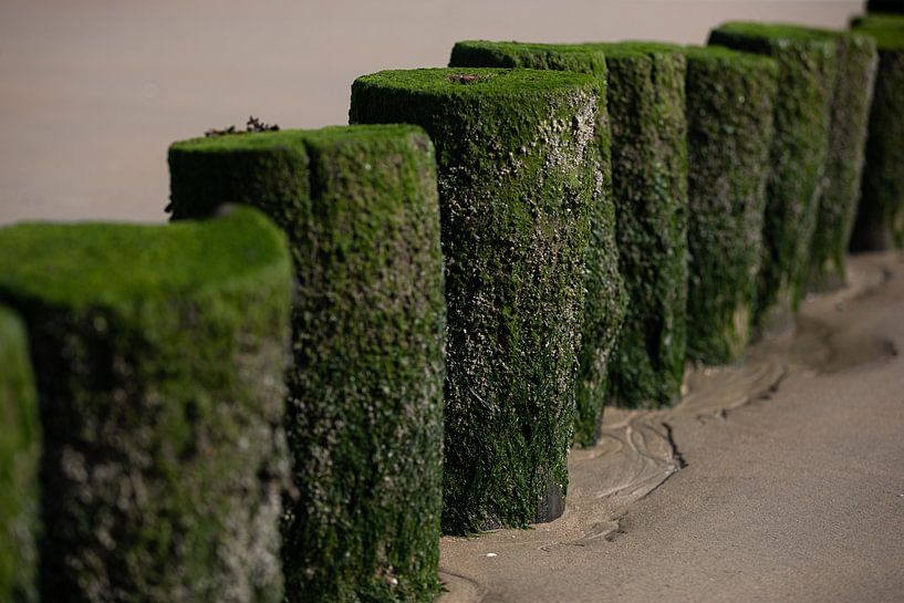 Weathered groynes by Percy's fotografie