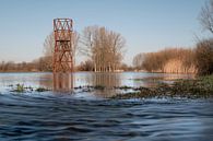 Het overstroomgebied van de Dommel in Sint Oedenrode van Gerry van Roosmalen thumbnail