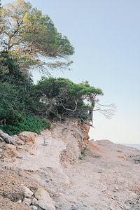 Erkunden Sie die unberührte Küste Ibizas // Natur- und Reisefotografie