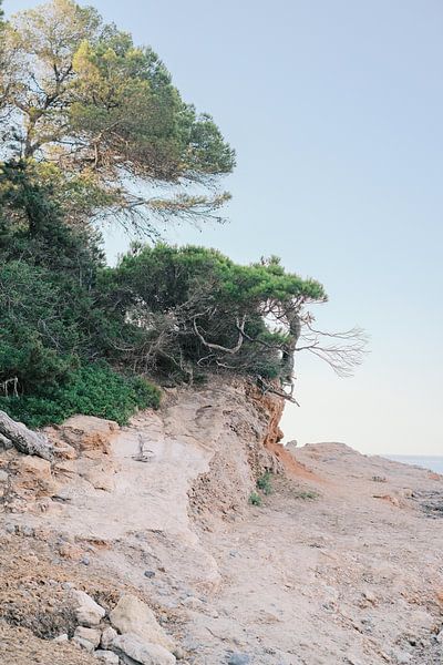 Explorer la côte préservée d&#039;Ibiza // Photographie de nature et de voyage par Diana van Neck Photography