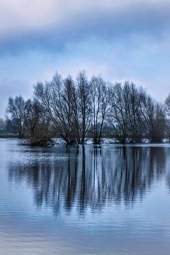 Überschwemmungsgebiete von Leuvenheim entlang des Flusses IJssel