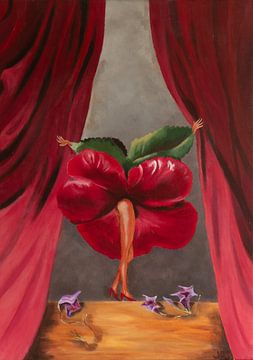 Hibiscus Dancer van Jos van Oorschot