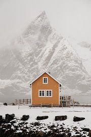 Gelbes Haus unter verschneiten Berggipfeln in Norwegen von Anna Van Goethem