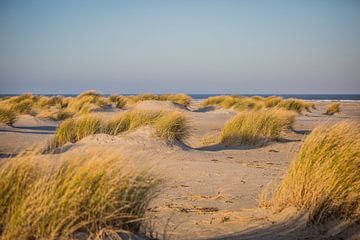 Dunes in winter by Lydia