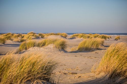 Dunes in winter