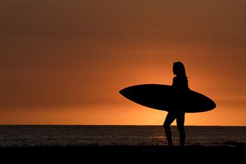 Surfing girl in Hawaii van Jim De Sitter