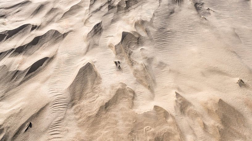 dune patterns in the sand by eric van der eijk