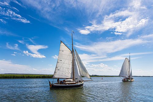 Zeilschepen in de haven van Wieck op Fischland-Darß