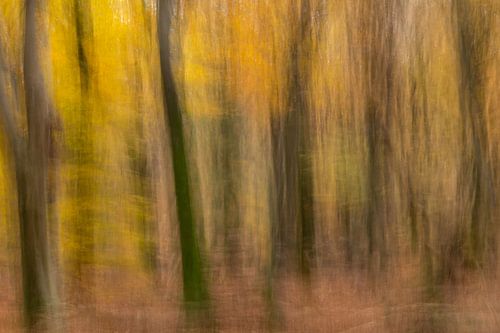 Abstracte herfstbomen van Finc.Hart