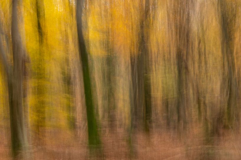 Abstrakte Herbstbäume von @Unique