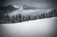 Wintermärchen HEMMERSUPPENALM V von Melanie Viola Miniaturansicht