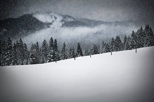 Wintersprookje HEMMERSUPPENALM V van Melanie Viola