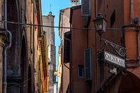 Calzolaio Bologna