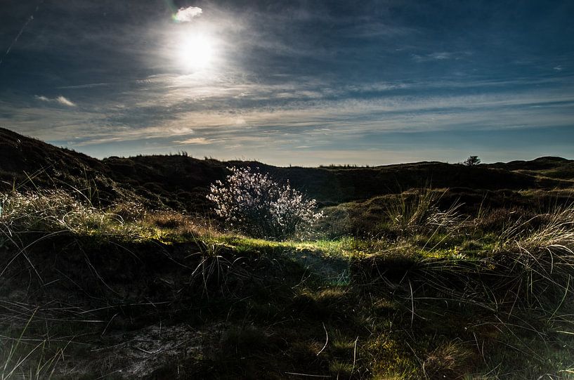Donkere duinen op Texel by Hans Wijnveen