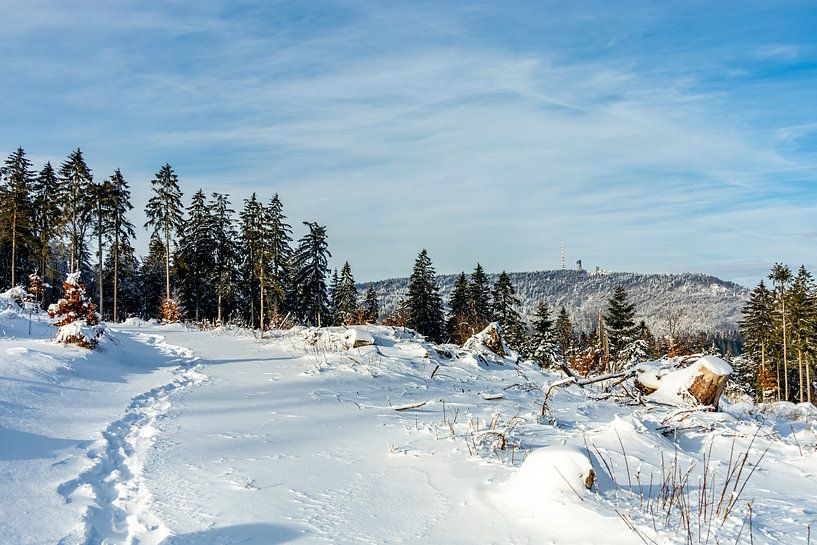 Korte winterwandeling rond de besneeuwde Inselsberg bij Brotterode - Thüringen - Duitsland van Oliver Hlavaty