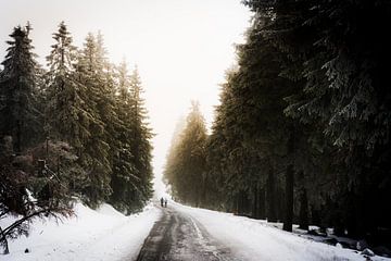Besneeuwd landschap in het Harz gebergte in Duitsland van Suzanne Spijkers