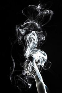 Abstracte witte rook - Zeepaardje