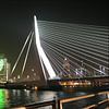 Brücke Der Schwan Rotterdam von Antonie van Gelder Beeldend kunstenaar