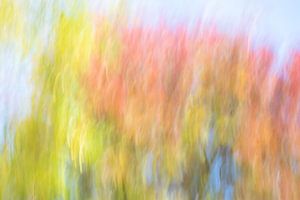 kleurrijke abstracte herfst. Ook mooi als rond kunstwerk.