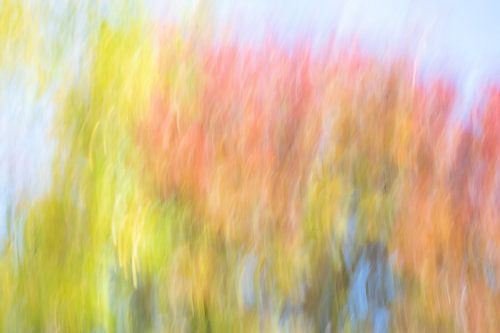 kleurrijke abstracte herfst. Ook mooi als rond kunstwerk.