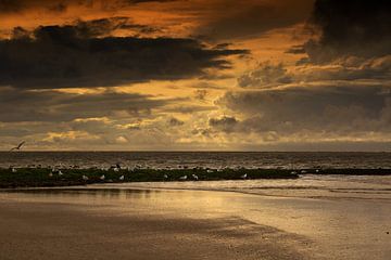 Norderney by Karin Luttmer