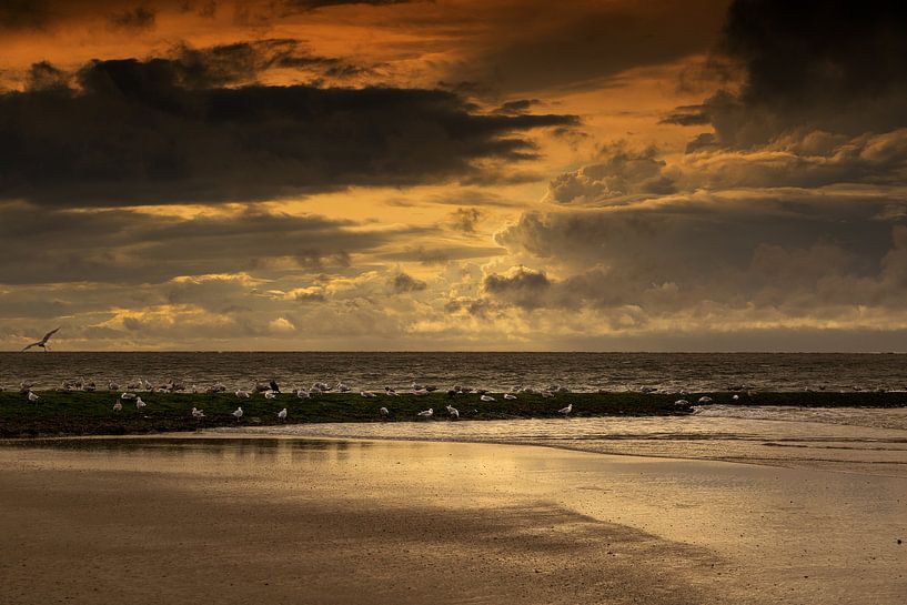 Norderney von Karin Luttmer