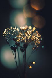 Glowing Dots by Treechild