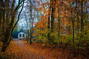 Herbst Hütte