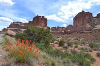 Utah, Arches National Park, USA
