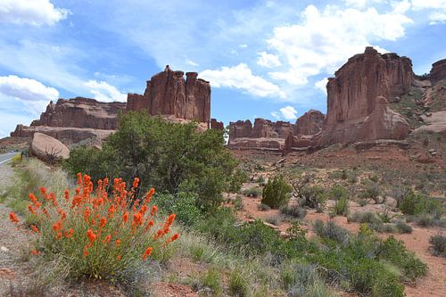 Utah, Arches National Park, VS