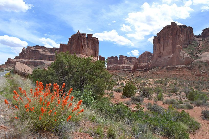 Utah, Arches-Nationalpark, USA von Bernard van Zwol