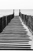 Pile row with shade on Zoutelande beach (black and white)