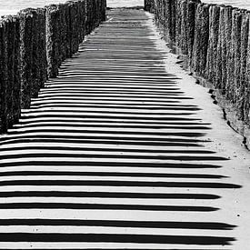 Pile row with shade on Zoutelande beach (black and white) by Fotografie Jeronimo