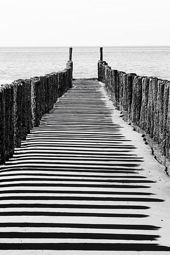 Palenrij met schaduw op het strand van Zoutelande (zwart-wit)
