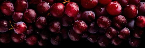 Panorama aux raisins rouges