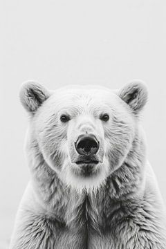 Ours sur Poster Art Shop