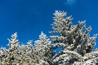 Winter im Riesengebirge bei Benecko van Rico Ködder thumbnail