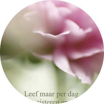 Leef maar per dag