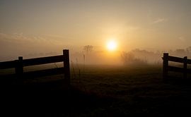 Nebeliger Sonnenaufgang von Lianne Weijs
