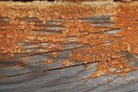 Verweerd hout