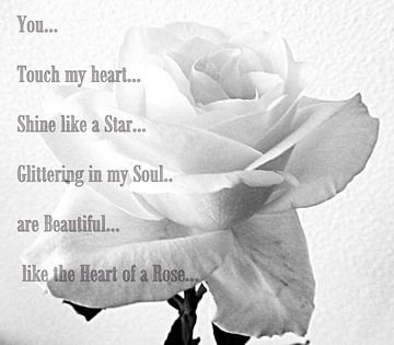 White Rose Poem