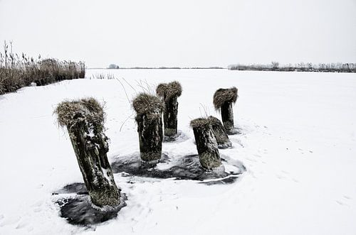 Palen door het ijs
