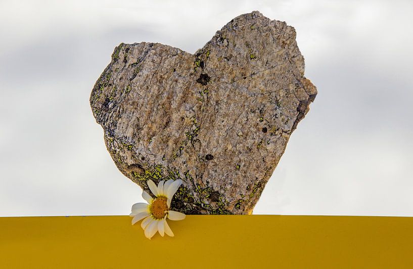 A heart of stone by Christa Kramer